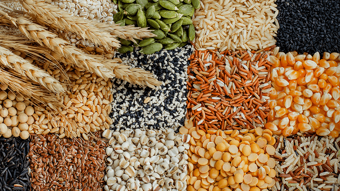 Doria Supply chain Ltd