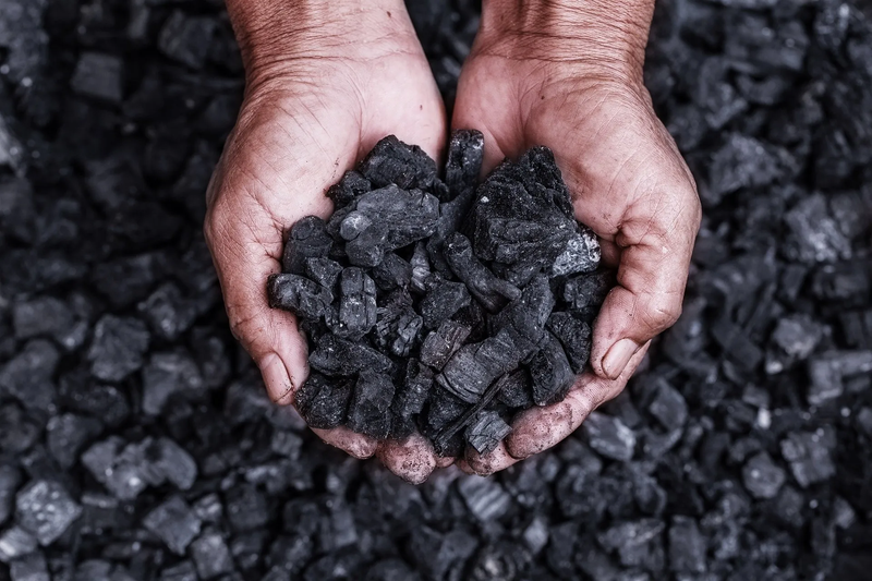 Petroleum Coke (Pet Coke) doria supply chain limited