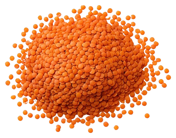 Red-Lentils-Doaria Supply Chain Ltd