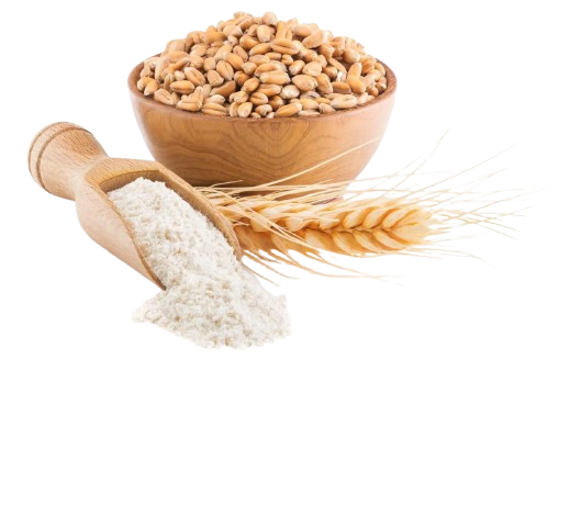 grainsof_Doria_Supply_Chain