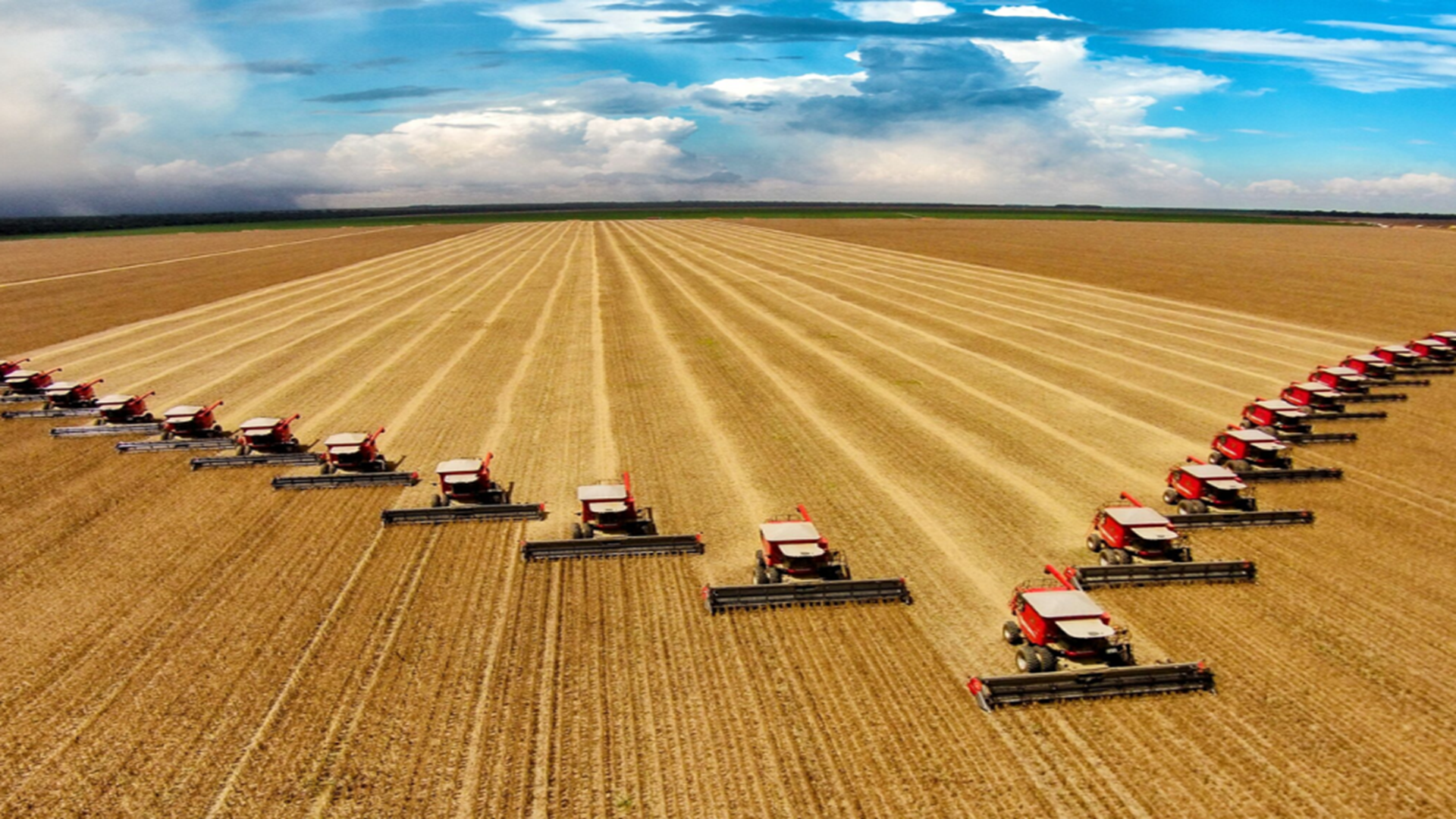 mission_of_Doria SupplyChainLtd